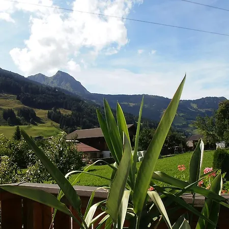 Apartment Johanna Dorfgastein