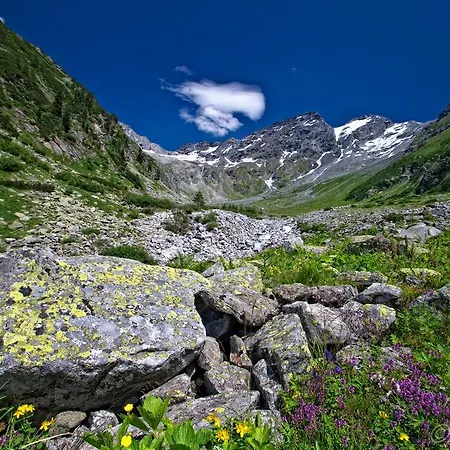 Johanna * Dorfgastein