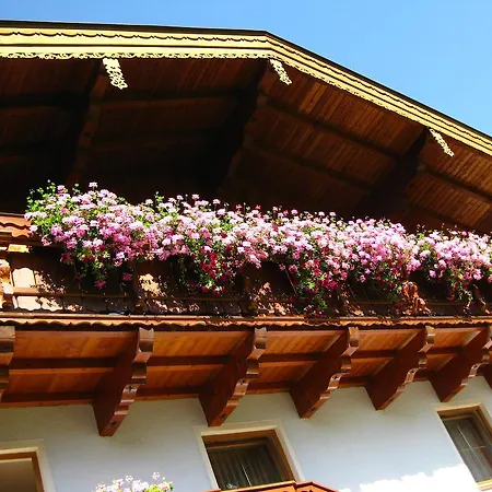 Apartment Johanna Dorfgastein